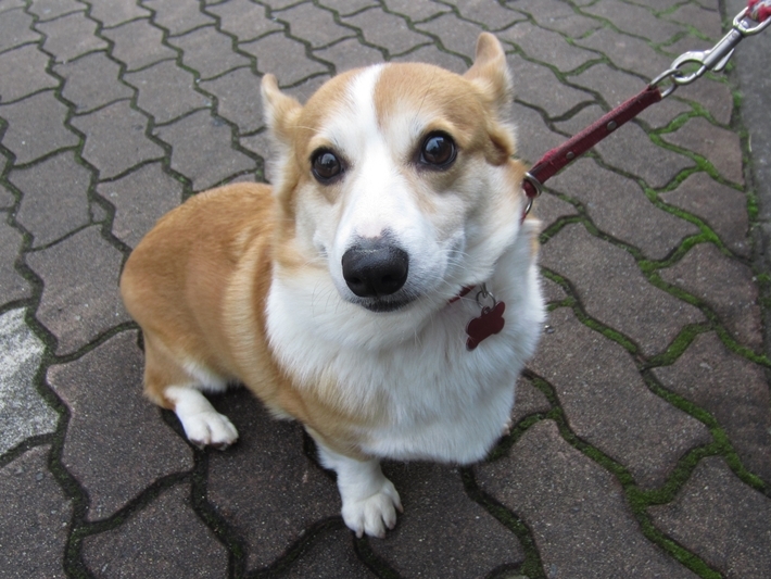 pearl_IMG_0154