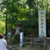 あずきのいる風景 奈良公園辺りをお散歩